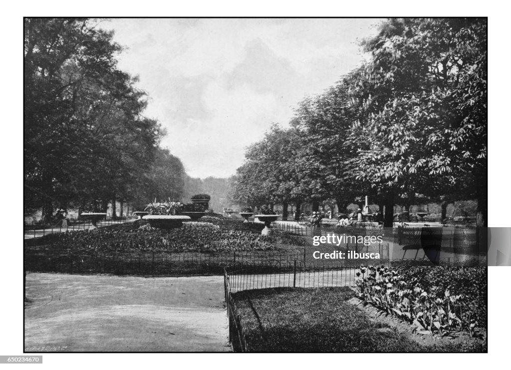 Antique London's photographs: Flower walk, Regent's Park
