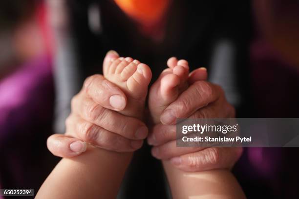 hands of grandmother holding newborn feets - old lady feet 個照片及圖片檔