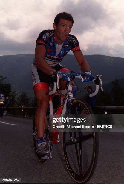 75 Adriano Baffi Stock Photos, HighRes Pictures, and Images Getty Images