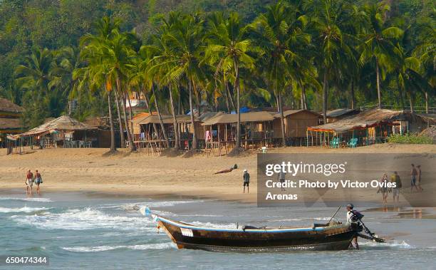 hut bars and coconut trees in agonda beach, south goa, india - goa beach stock-fotos und bilder