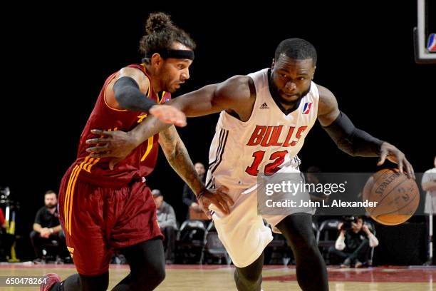 Will Bynum of the Windy City Bulls dribbles the ball against the Canton Charge on March 08, 2017 at the Sears Centre Arena in Hoffman Estates,...