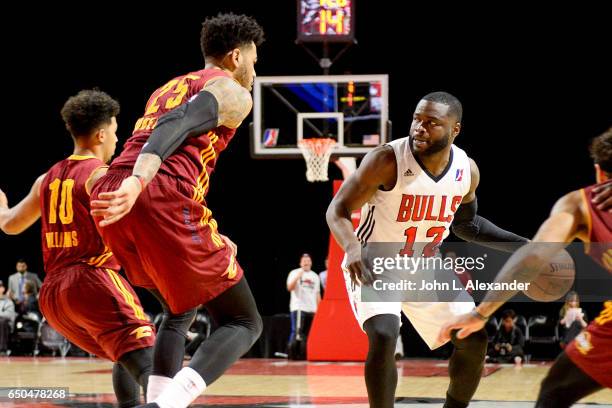 Will Bynum of the Windy City Bulls dribbles the ball against the Canton Charge on March 08, 2017 at the Sears Centre Arena in Hoffman Estates,...