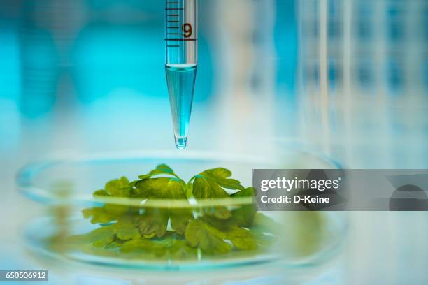 biochimica - biotecnologia foto e immagini stock