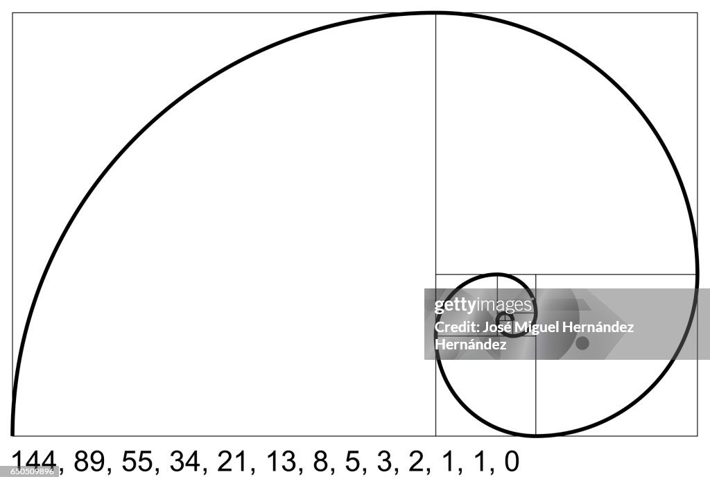 Fibonacci Spiral or Fibonacci Succession Illustration