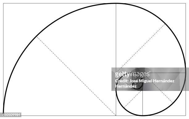 fibonacci spiral or fibonacci succession illustration - slide rule stock illustrations