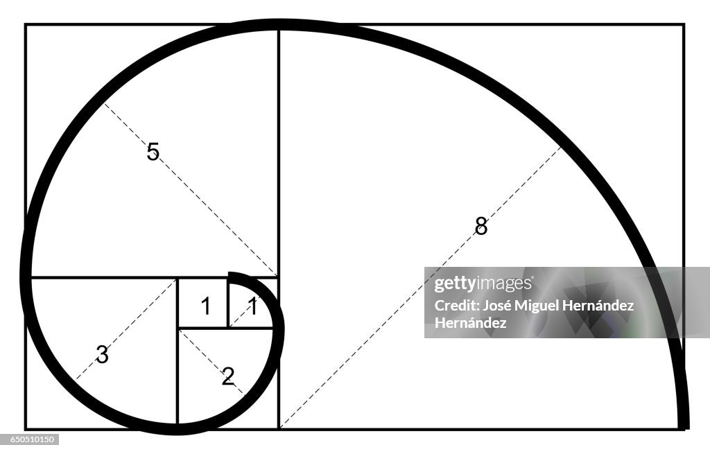 Fibonacci Spiral Design