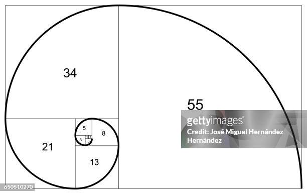 fibonacci spiral or fibonacci succession illustration - slide rule stock illustrations