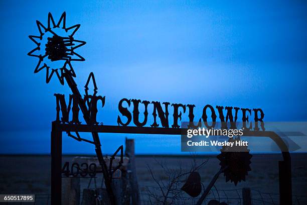 mt. sunflower, highest point in kansas - kansas sunflowers stock pictures, royalty-free photos & images