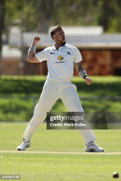 James Pattinson of the Bushrangers celebrates taking the wicket of Cameron Bancroft of the Warriors during the Sheffield Shield match between...