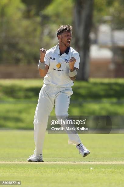James Pattinson of the Bushrangers celebrates taking the wicket of Cameron Bancroft of the Warriors during the Sheffield Shield match between...