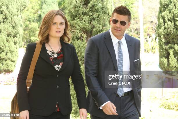 David Boreanaz and Emily Deschanel in the "The New Tricks in the Old Dogs" episode of BONES airing Tuesday, Jan. 17 on FOX.