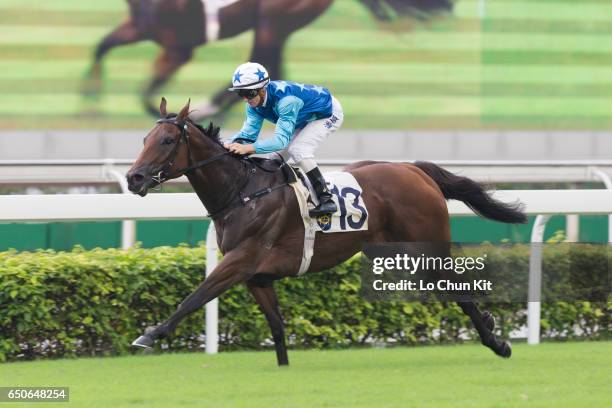 Jockey Zac Purton riding Jing Jing Win wins the Race 6 A. Lange & Sohne Excellent Handicap at Sha Tin racecourse on October 23, 2016 in Hong Kong,...