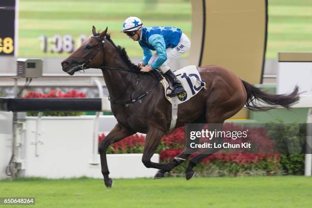 Jockey Zac Purton riding Jing Jing Win wins the Race 6 A. Lange & Sohne Excellent Handicap at Sha Tin racecourse on October 23, 2016 in Hong Kong,...