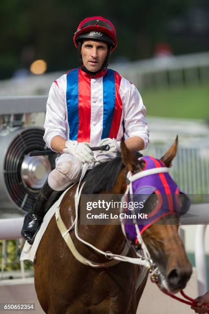 Jockey Neil Callan riding Anticipation wins the Race 10 Bulgari Excellent Handicap at Sha Tin racecourse on October 23, 2016 in Hong Kong, Hong Kong.