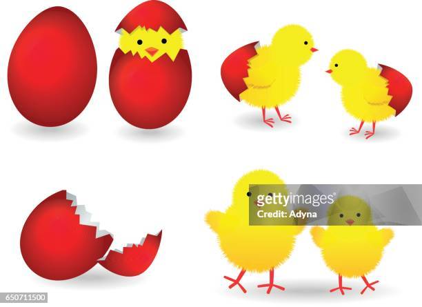 easter egg with baby chicks - chick egg stock illustrations