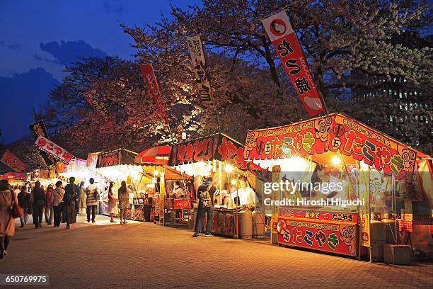 japan, cherry blossom festival - prefectura de fukuoka fotografías e imágenes de stock