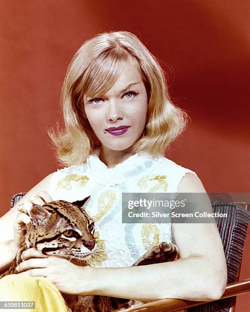 American actress Anne Francis as private detective Honey West, with her pet ocelot Bruce, in the television series 'Honey West', circa 1965.