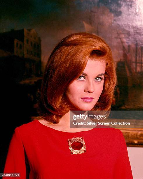 Swedish actress Ann-Margret poses in front of an oil painting, circa 1965.