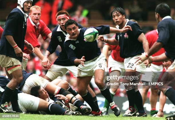 33 Graeme Bachop Stock Photos, HighRes Pictures, and Images Getty Images