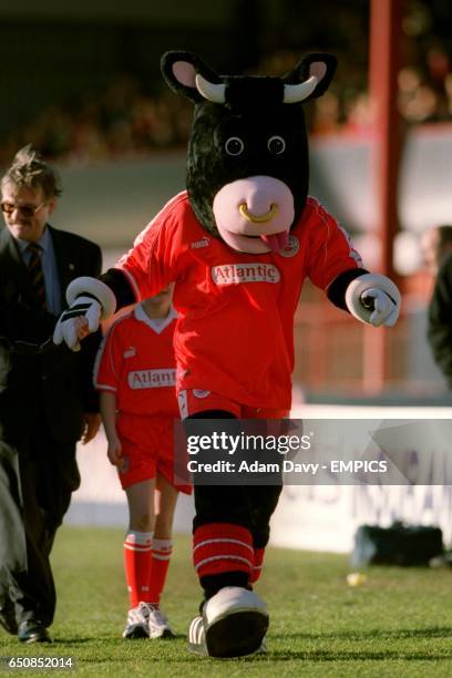 Angus The Bull, Aberdeen mascot