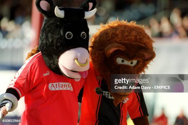 Aberdeen mascot Angus The Bull makes friends with his Dundee United counterpart Terry the Terror