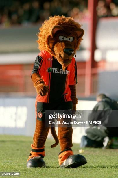 Terry the Terror, Dundee United mascot