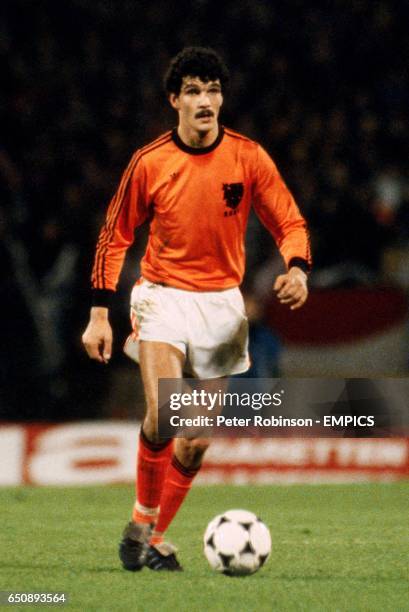 20 Michel Van De Korput Stock Photos, HighRes Pictures, and Images