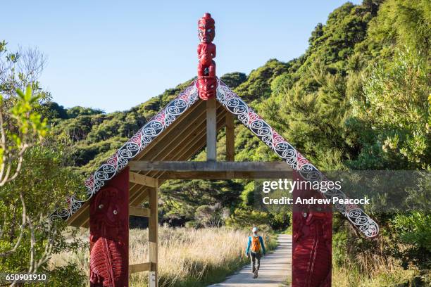 start of the coast track in abel tasman national park - tasman stock pictures, royalty-free photos & images