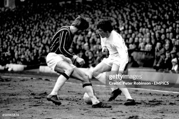 40 Mel Blyth Stock Photos, HighRes Pictures, and Images Getty Images