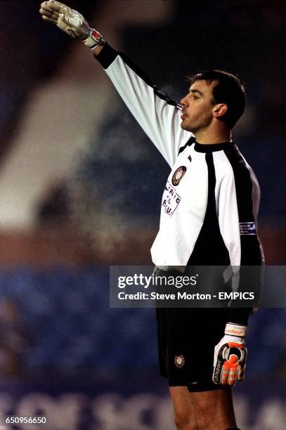 19 Roccati Stock Photos, High-Res Pictures, and Images - Getty Images