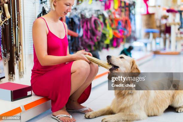 cute golden retriever with big bone in pet store - dog bone stock pictures, royalty-free photos & images