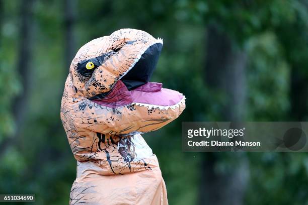 Supporter wears a dinosaur costume during day three of the First Test match between New Zealand and South Africa at University Oval on March 10, 2017...