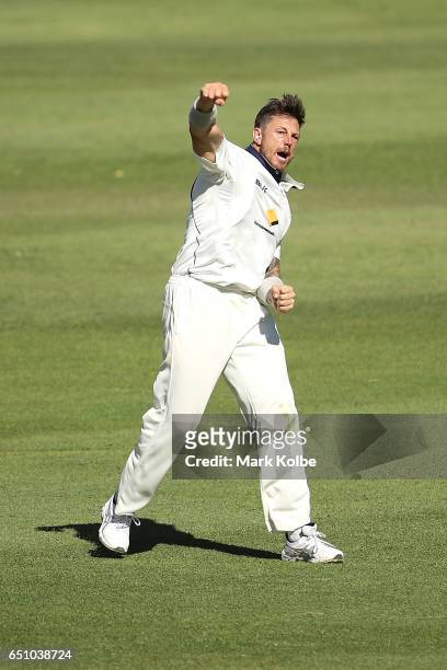 James Pattinson of the Bushrangers celebrates taking the wicket of Josh Inglis of the Warriors during the Sheffield Shield match between Victoria and...
