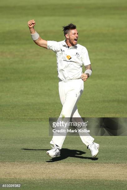 James Pattinson of the Bushrangers celebrates taking the wicket of Michael Klinger of the Warriors during the Sheffield Shield match between Victoria...