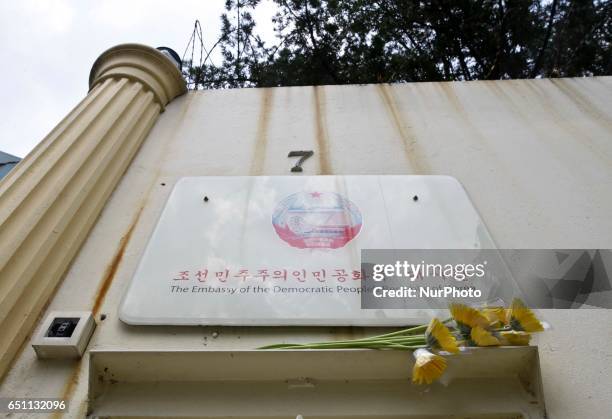 Yellow daisy flowers are seen as a symbol of friendships between Malaysia and North Korea in front of the North Korea embassy on 10 March 2017.