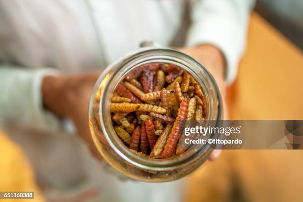Mescal Insects 564 Mescal Agave Stock Photos, High-Res Pictures, and Images - Getty Images