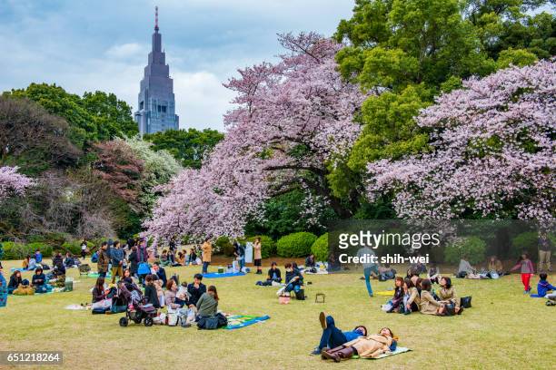 tokyo, japan - 6. april 2016: sakura blüte im kitanomaru garden, tokyo, japan am 6. april 2016. - ueno tokio stock-fotos und bilder