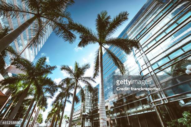 miami brickell downtown at dusk - miami stock pictures, royalty-free photos & images