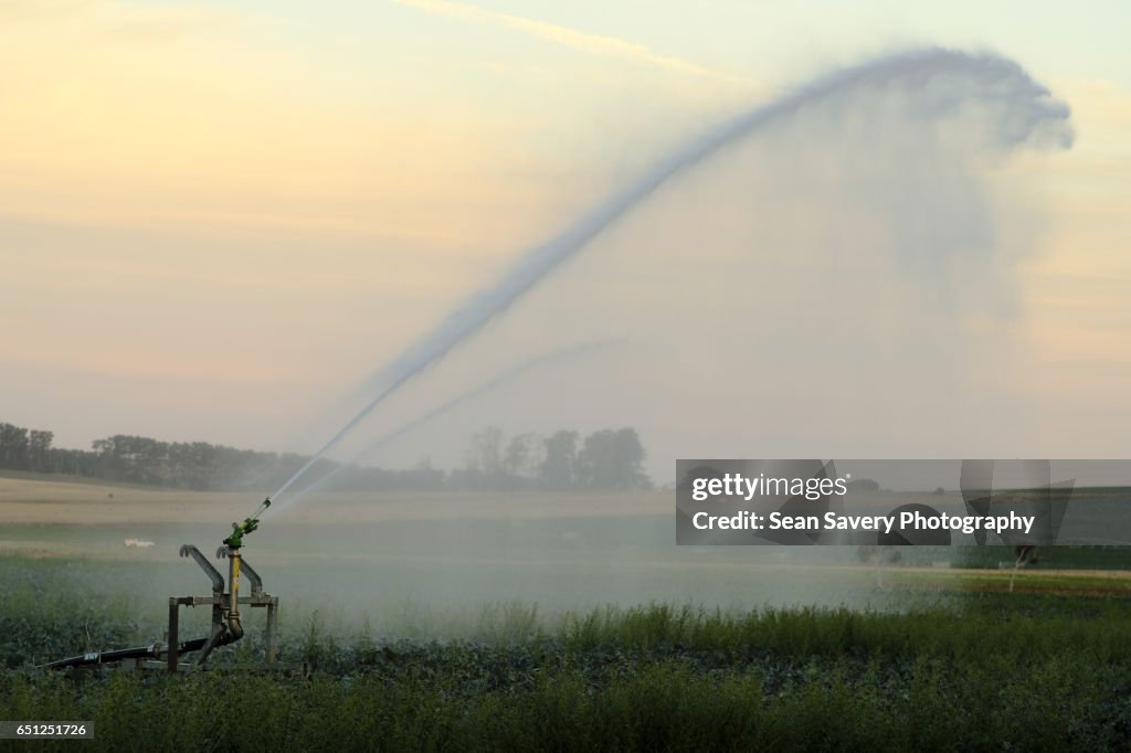 Crop Irrigation