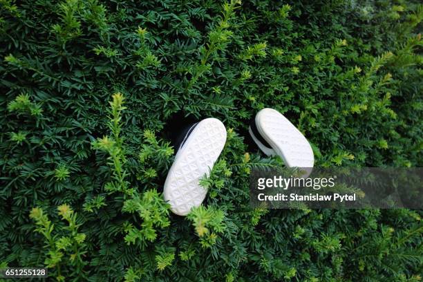 pair of small shoes sticks out from green bush - out of context ストックフォトと画像