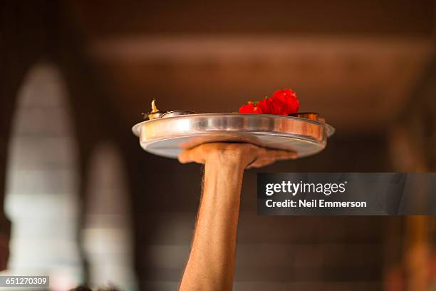 hand and metal tray - plateau stockfoto's en -beelden