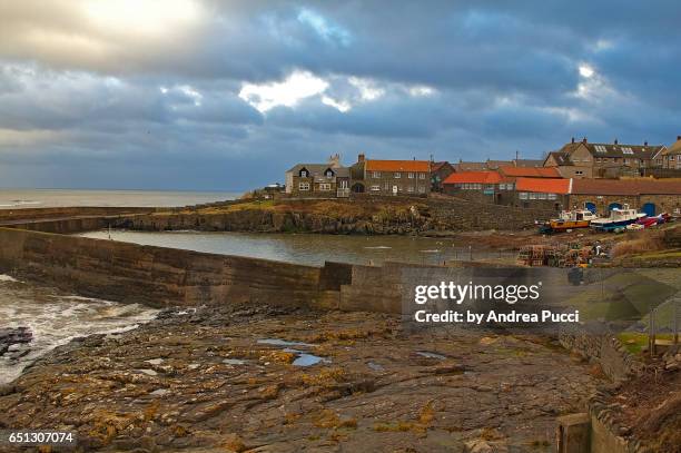 craster, northumberland, united kingdom - craster stock-fotos und bilder