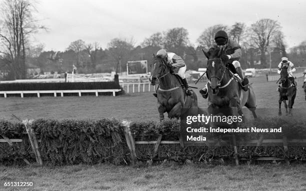 Leopardstown races in Dun Laoghaire, Dublin, .