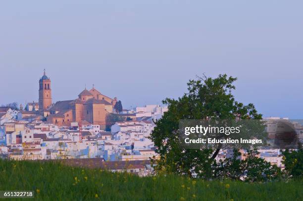 Montilla, Cordoba province, Montilla-Moriles area, Andalusia, Spain.