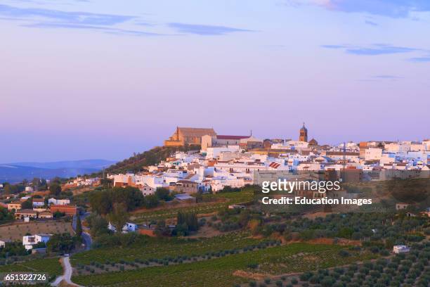 Montilla, Cordoba province, Montilla-Moriles area, Andalusia, Spain.
