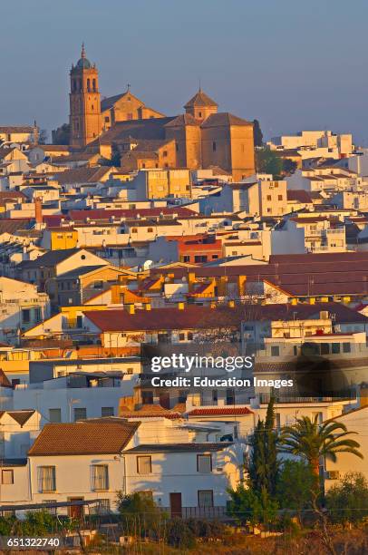 Montilla, Cordoba province, Montilla-Moriles area, Andalusia, Spain.