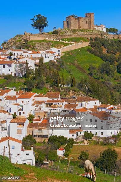 Cortegana, Castle, Sierra de Aracena y Picos Aroche natural park, Huelva province, Andalusia, Spain.