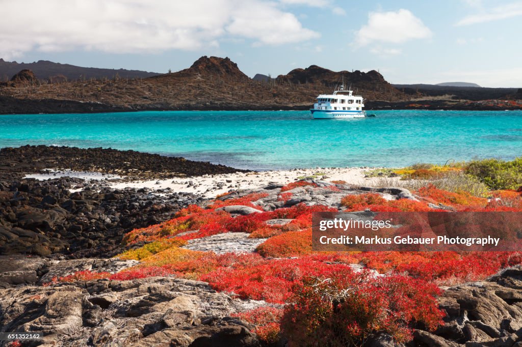 Landscape of Isla Santa Fe with red vegetation, turquoise ocean and a cruise ship in the background, Galapagos Islands.