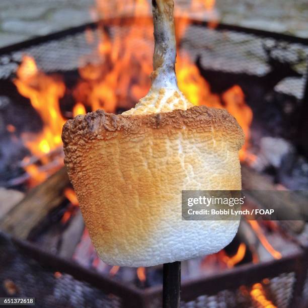 marshmallows roasting over bonfire - toasting marshmallows stock pictures, royalty-free photos & images