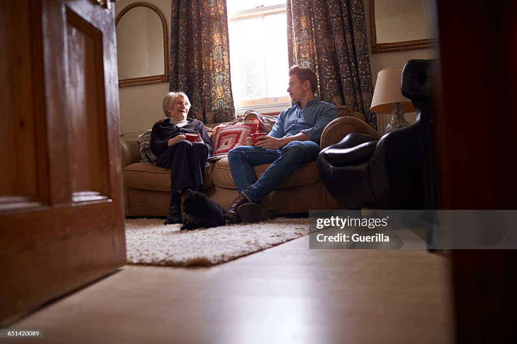 Adult Grandson Visiting Grandmother At Home